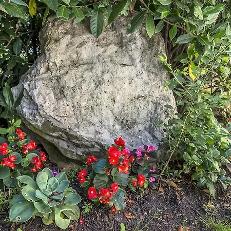 Spacious Three-bedroom Balun With Pool Villa *